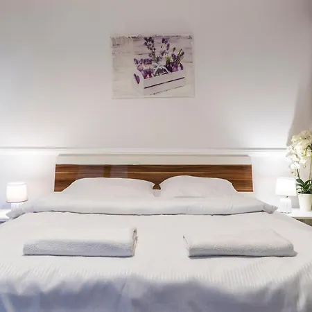 Tatrytop Tetmajer Centrum Apartamento