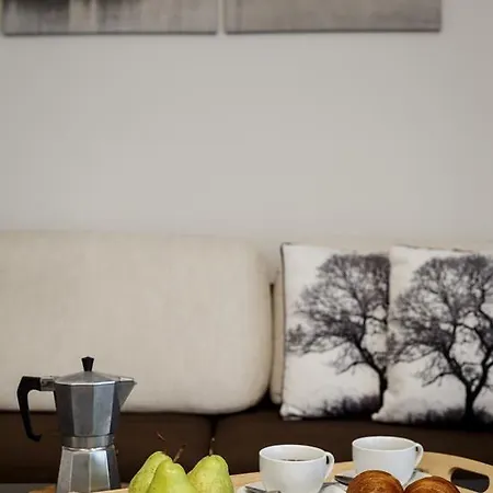 Apartament Tatrytop Tetmajer Centrum